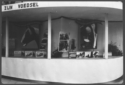 605617 Afbeelding van de stand van het Nederlandsch Agrarisch Front (N.A.F.) op het Vredenburg (op de hoek met de Lange ...